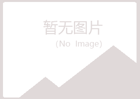 陕西夏岚水泥有限公司